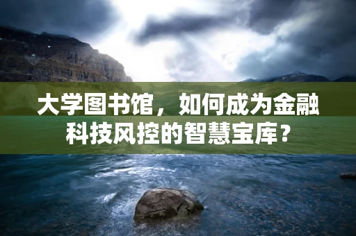 大学图书馆，如何成为金融科技风控的智慧宝库？