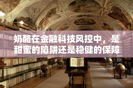 奶酪在金融科技风控中，是甜蜜的陷阱还是稳健的保障？