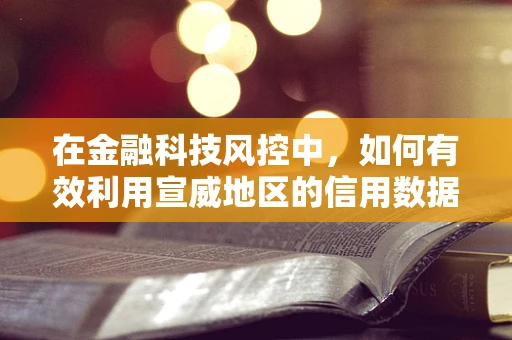 在金融科技风控中，如何有效利用宣威地区的信用数据？