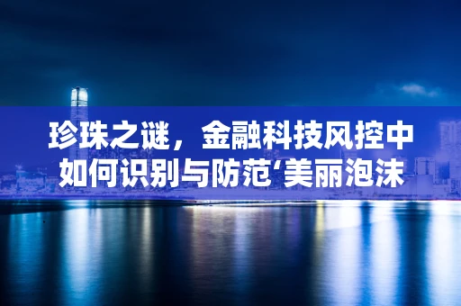 珍珠之谜，金融科技风控中如何识别与防范‘美丽泡沫’？