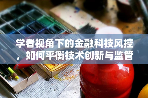学者视角下的金融科技风控，如何平衡技术创新与监管合规？