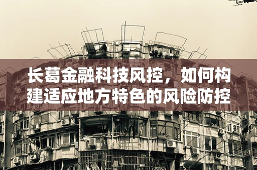 长葛金融科技风控，如何构建适应地方特色的风险防控体系？