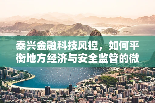 泰兴金融科技风控，如何平衡地方经济与安全监管的微妙关系？