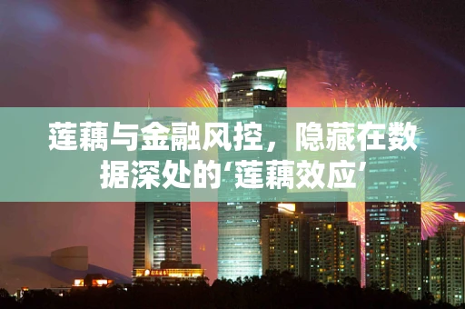 莲藕与金融风控，隐藏在数据深处的‘莲藕效应’