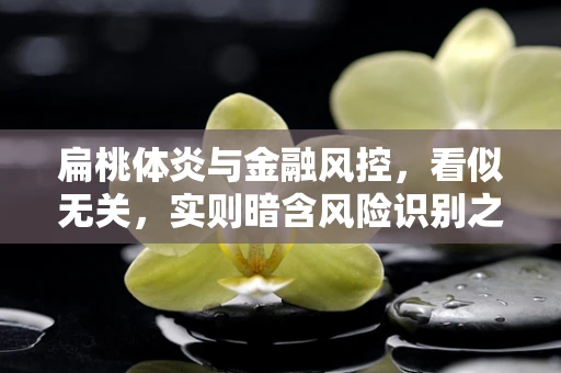 扁桃体炎与金融风控，看似无关，实则暗含风险识别之道？
