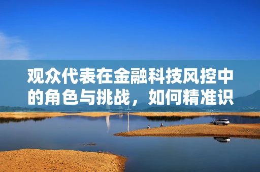 观众代表在金融科技风控中的角色与挑战，如何精准识别与应对？