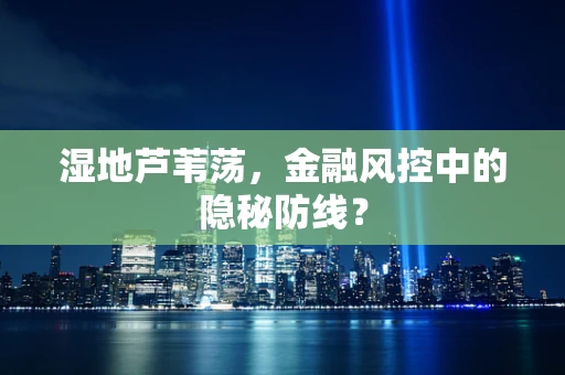 湿地芦苇荡，金融风控中的隐秘防线？