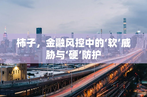 柿子，金融风控中的‘软’威胁与‘硬’防护