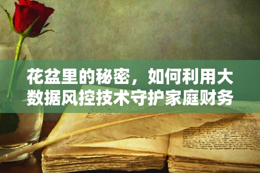 花盆里的秘密，如何利用大数据风控技术守护家庭财务安全？