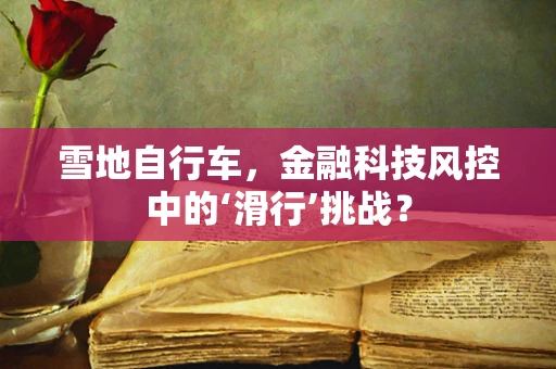 雪地自行车，金融科技风控中的‘滑行’挑战？