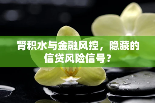 肾积水与金融风控，隐藏的信贷风险信号？