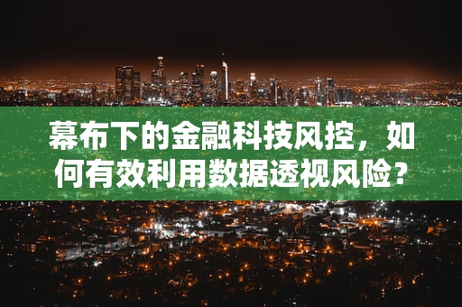 幕布下的金融科技风控，如何有效利用数据透视风险？
