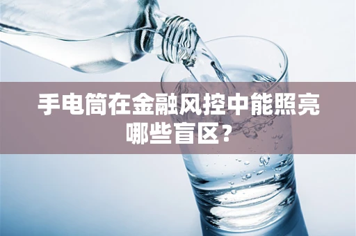 手电筒在金融风控中能照亮哪些盲区？