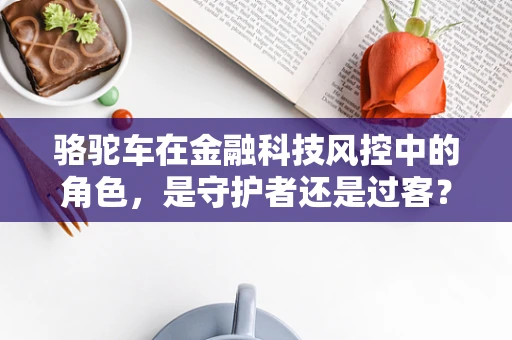 骆驼车在金融科技风控中的角色，是守护者还是过客？