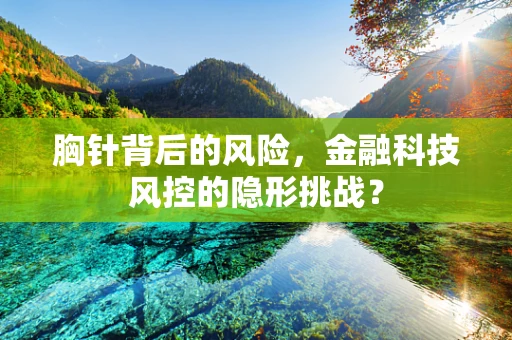 胸针背后的风险，金融科技风控的隐形挑战？