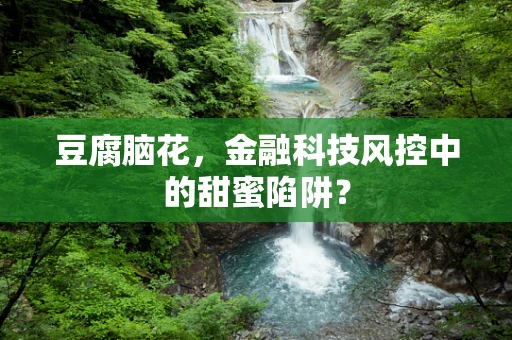 豆腐脑花，金融科技风控中的甜蜜陷阱？