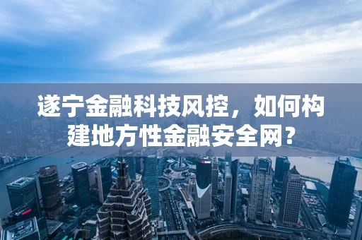 遂宁金融科技风控，如何构建地方性金融安全网？