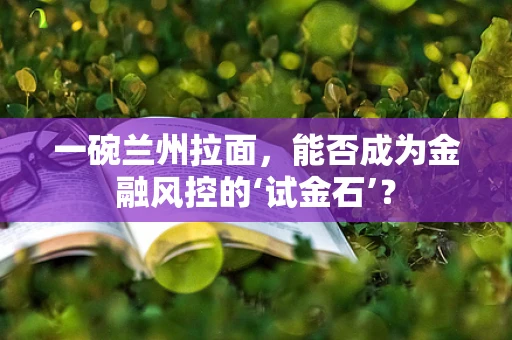 一碗兰州拉面，能否成为金融风控的‘试金石’？