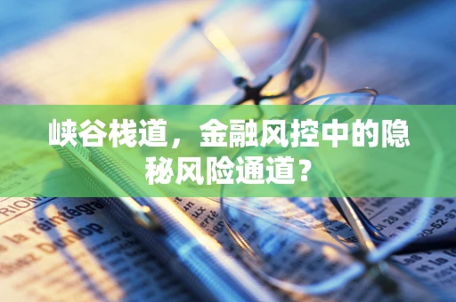 峡谷栈道，金融风控中的隐秘风险通道？