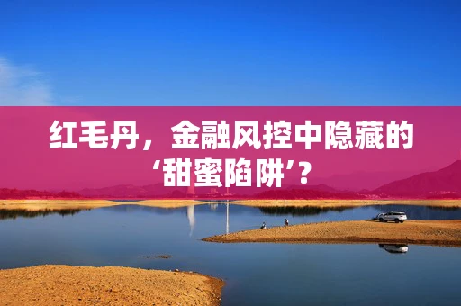 红毛丹，金融风控中隐藏的‘甜蜜陷阱’？