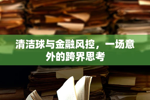 清洁球与金融风控，一场意外的跨界思考