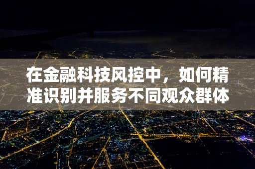 在金融科技风控中，如何精准识别并服务不同观众群体？