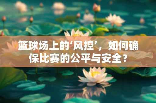 篮球场上的‘风控’，如何确保比赛的公平与安全？