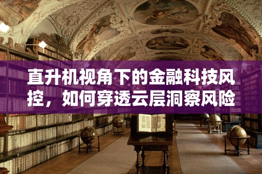 直升机视角下的金融科技风控，如何穿透云层洞察风险？