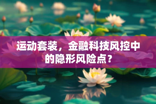 运动套装，金融科技风控中的隐形风险点？