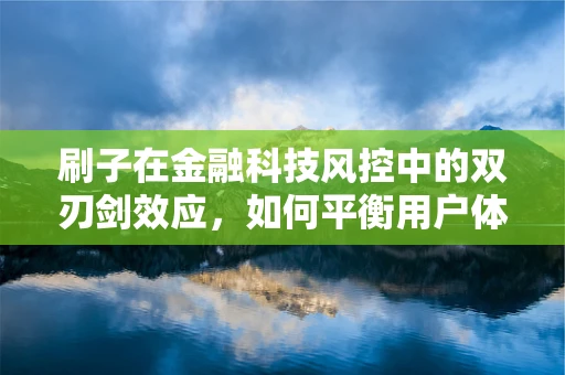 刷子在金融科技风控中的双刃剑效应，如何平衡用户体验与风险防控？