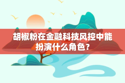 胡椒粉在金融科技风控中能扮演什么角色？
