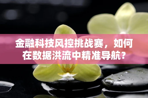 金融科技风控挑战赛，如何在数据洪流中精准导航？