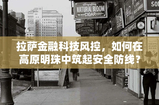 拉萨金融科技风控，如何在高原明珠中筑起安全防线？
