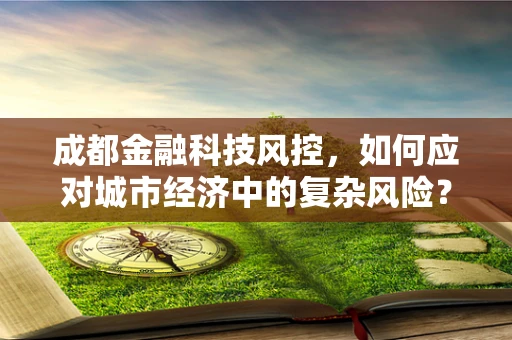 成都金融科技风控，如何应对城市经济中的复杂风险？