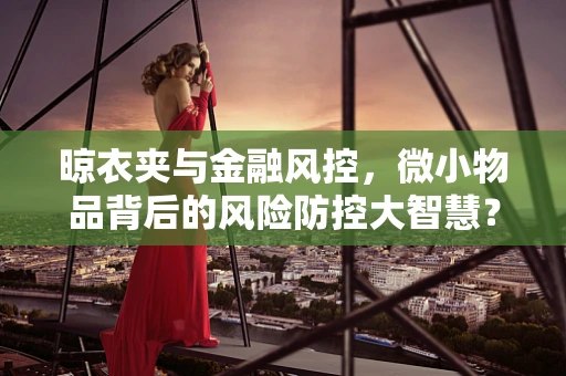 晾衣夹与金融风控，微小物品背后的风险防控大智慧？