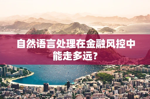 自然语言处理在金融风控中能走多远？