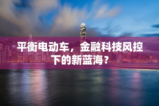 平衡电动车，金融科技风控下的新蓝海？