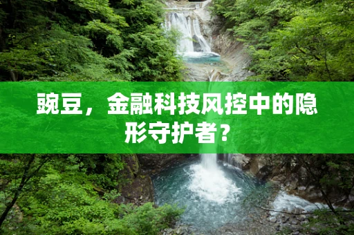 豌豆，金融科技风控中的隐形守护者？