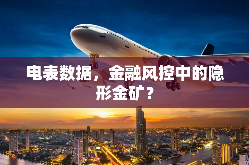 电表数据，金融风控中的隐形金矿？