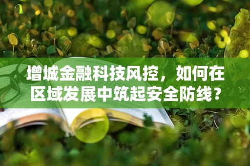 增城金融科技风控，如何在区域发展中筑起安全防线？