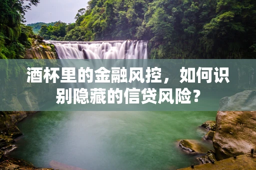 酒杯里的金融风控，如何识别隐藏的信贷风险？