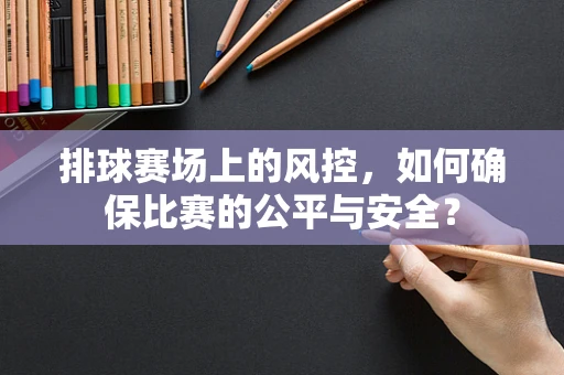 排球赛场上的风控，如何确保比赛的公平与安全？