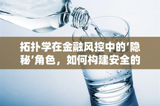 拓扑学在金融风控中的‘隐秘’角色，如何构建安全的‘空间’？