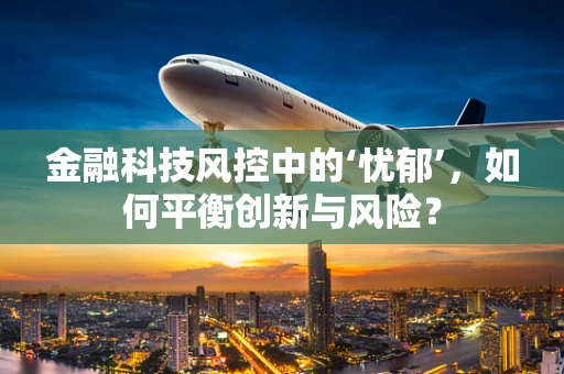 金融科技风控中的‘忧郁’，如何平衡创新与风险？