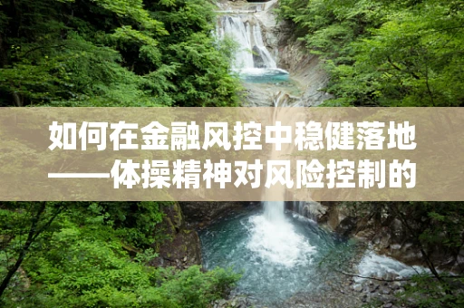 如何在金融风控中稳健落地——体操精神对风险控制的启示？
