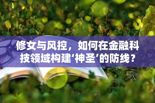 修女与风控，如何在金融科技领域构建‘神圣’的防线？