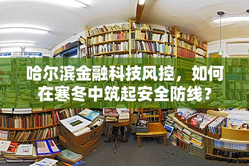 哈尔滨金融科技风控，如何在寒冬中筑起安全防线？