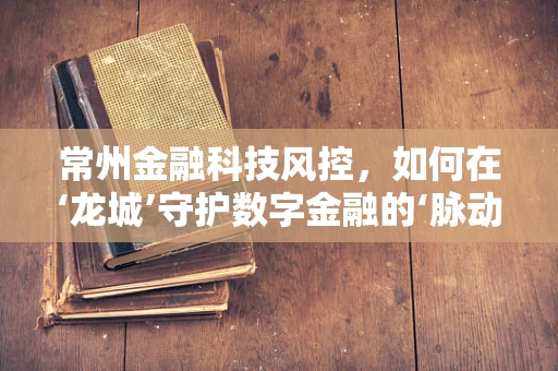 常州金融科技风控，如何在‘龙城’守护数字金融的‘脉动’？