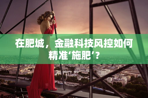 在肥城，金融科技风控如何精准‘施肥’？