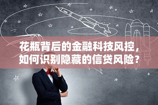 花瓶背后的金融科技风控，如何识别隐藏的信贷风险？